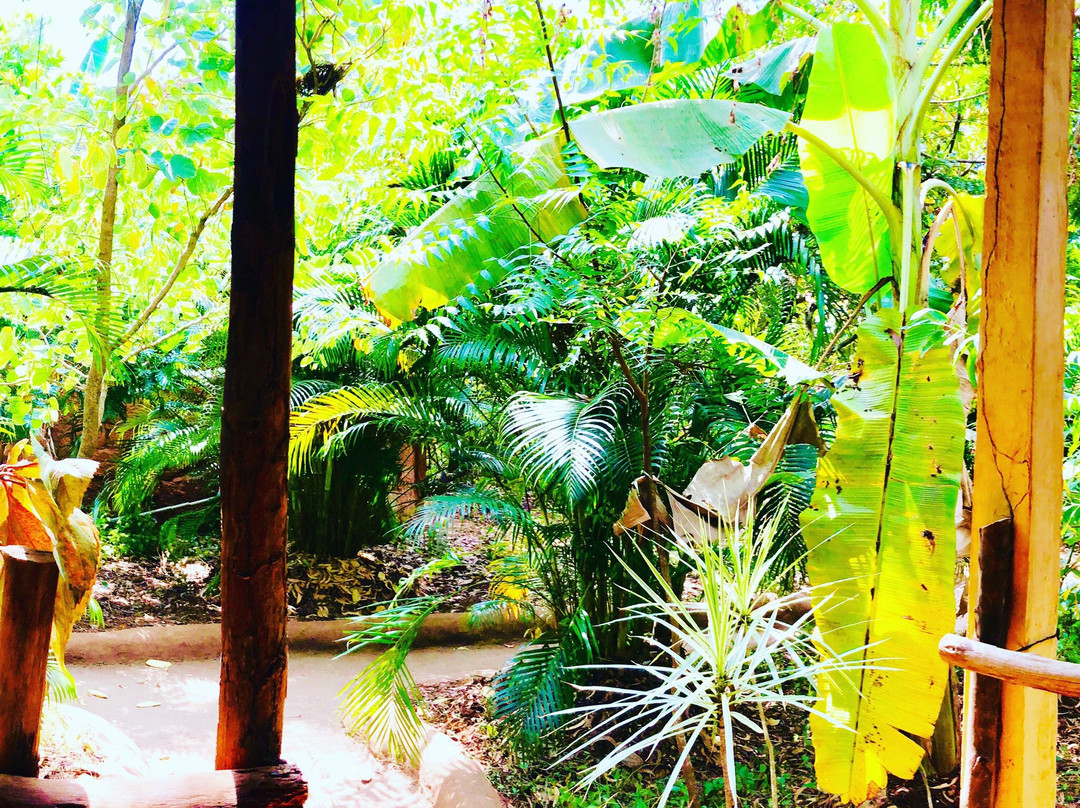 Banyan Tree Yoga Goa主图