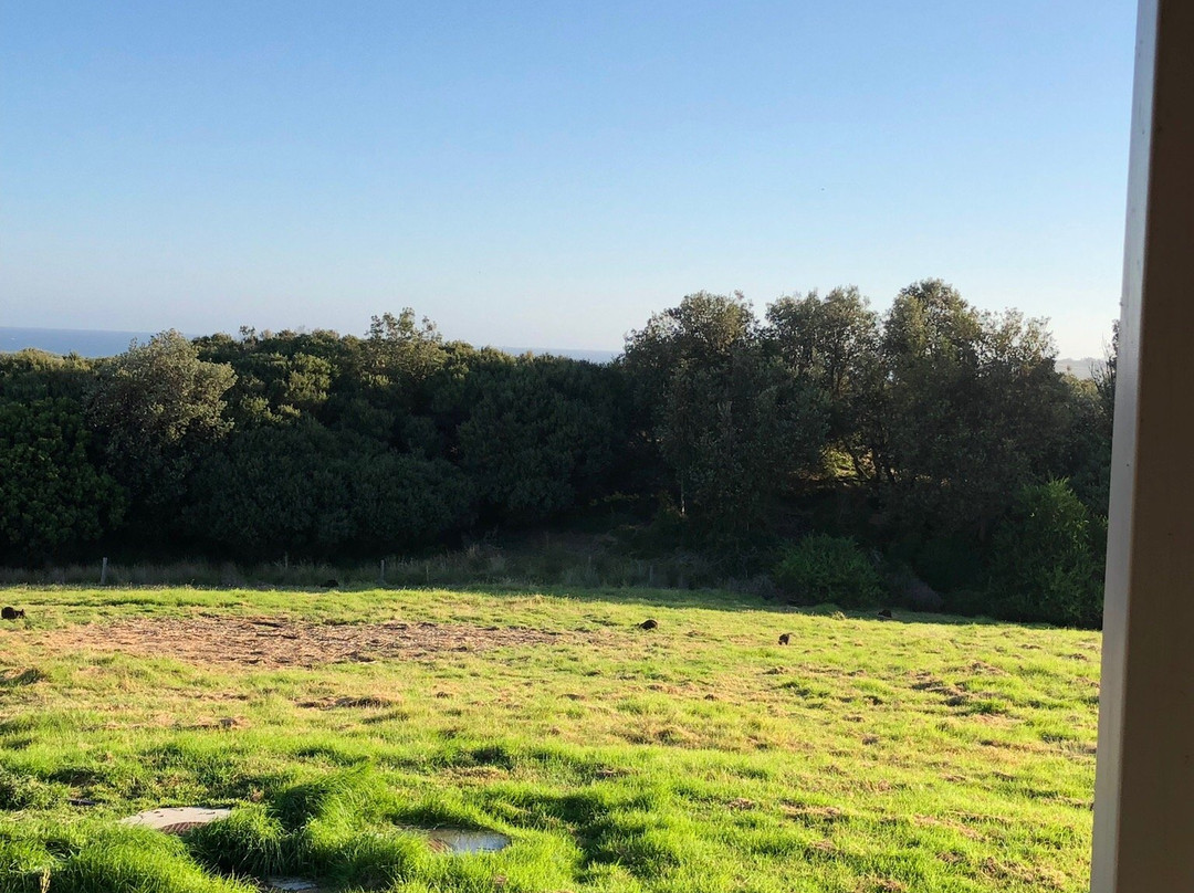 Swan Lake Guest House主图