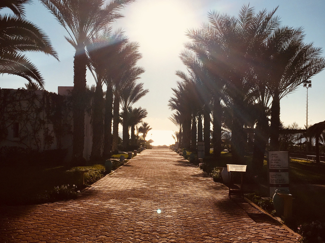 Club Palm Azur Families and Couples主图