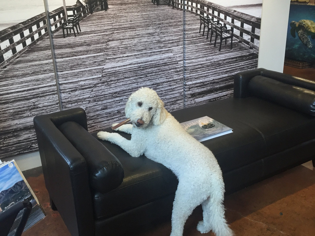 Latitudes Gallery-文图拉县必去景点