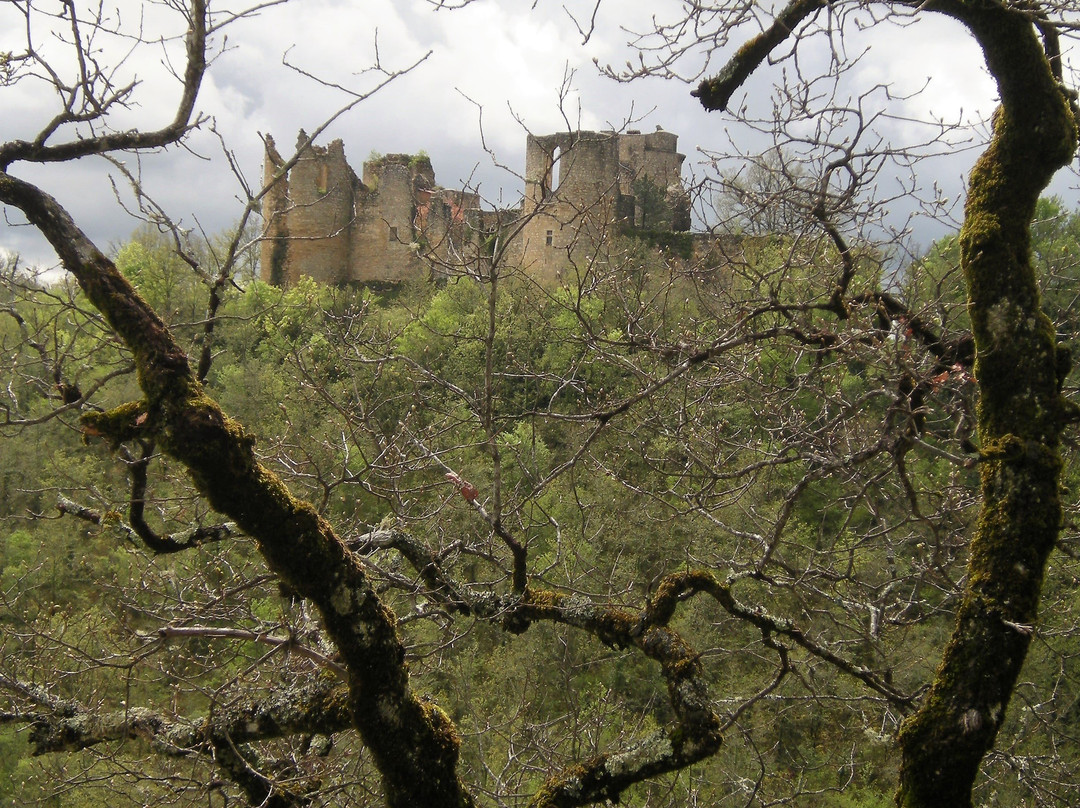 Château de Roussillon景点图片