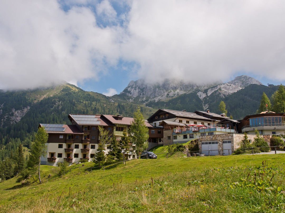 Alpenhotel Plattner主图