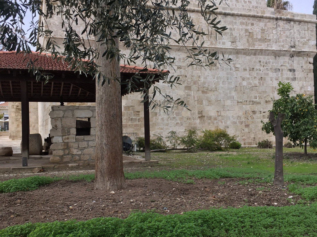 Limassol Castle景点图片