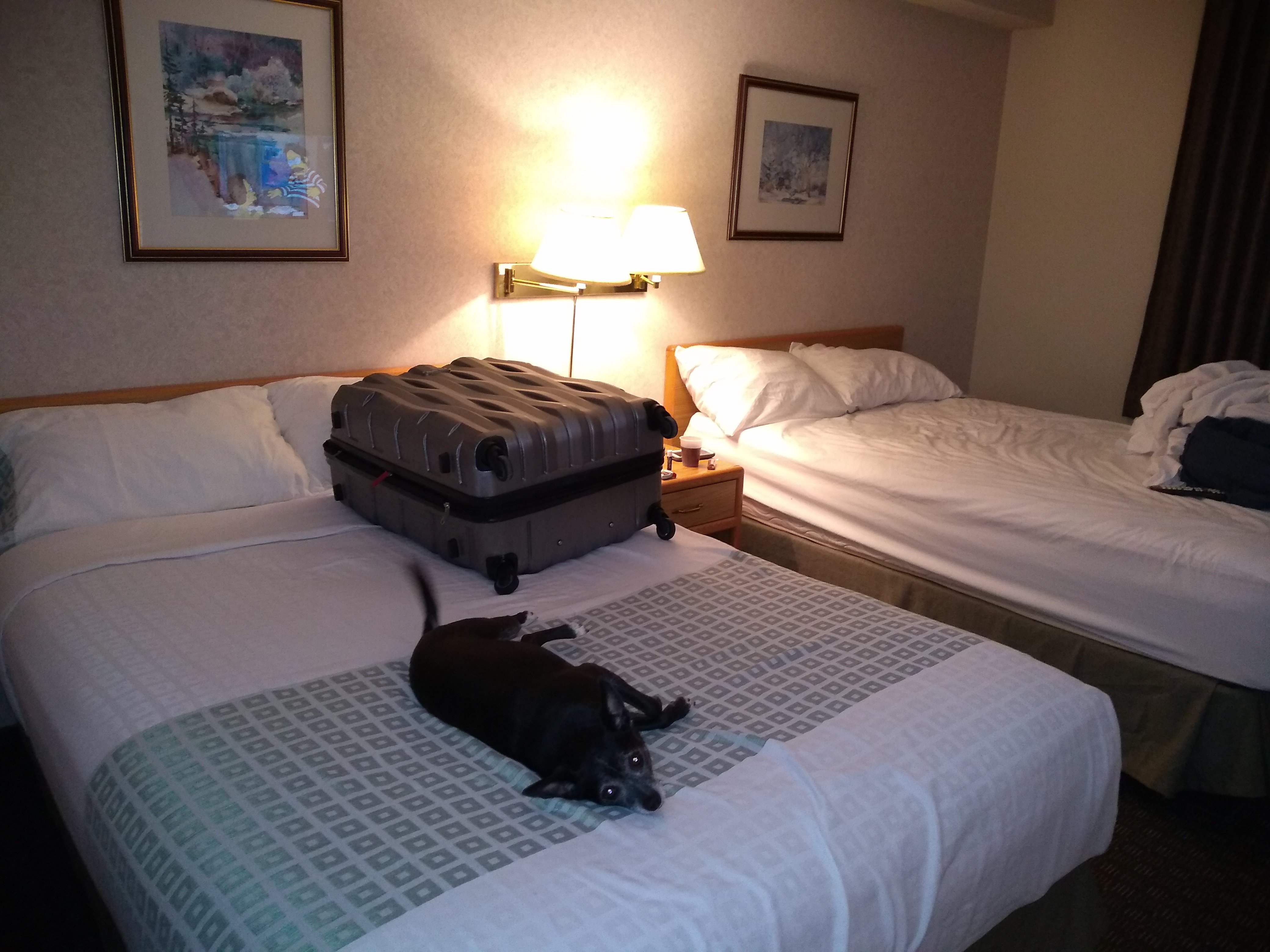 Jays Inn and Suites-官方
