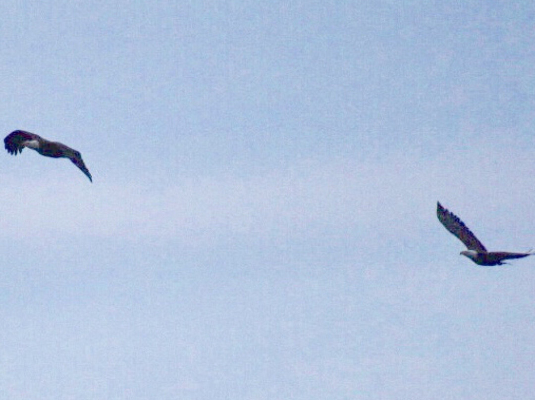 Shelburne Bay Park-谢尔本必去景点