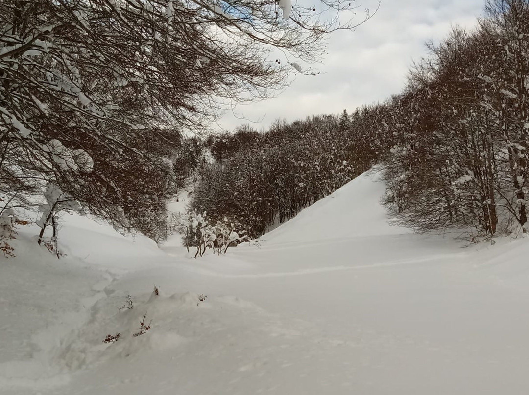 Altopiano delle Cinquemiglia-Rocca Pia必去景点