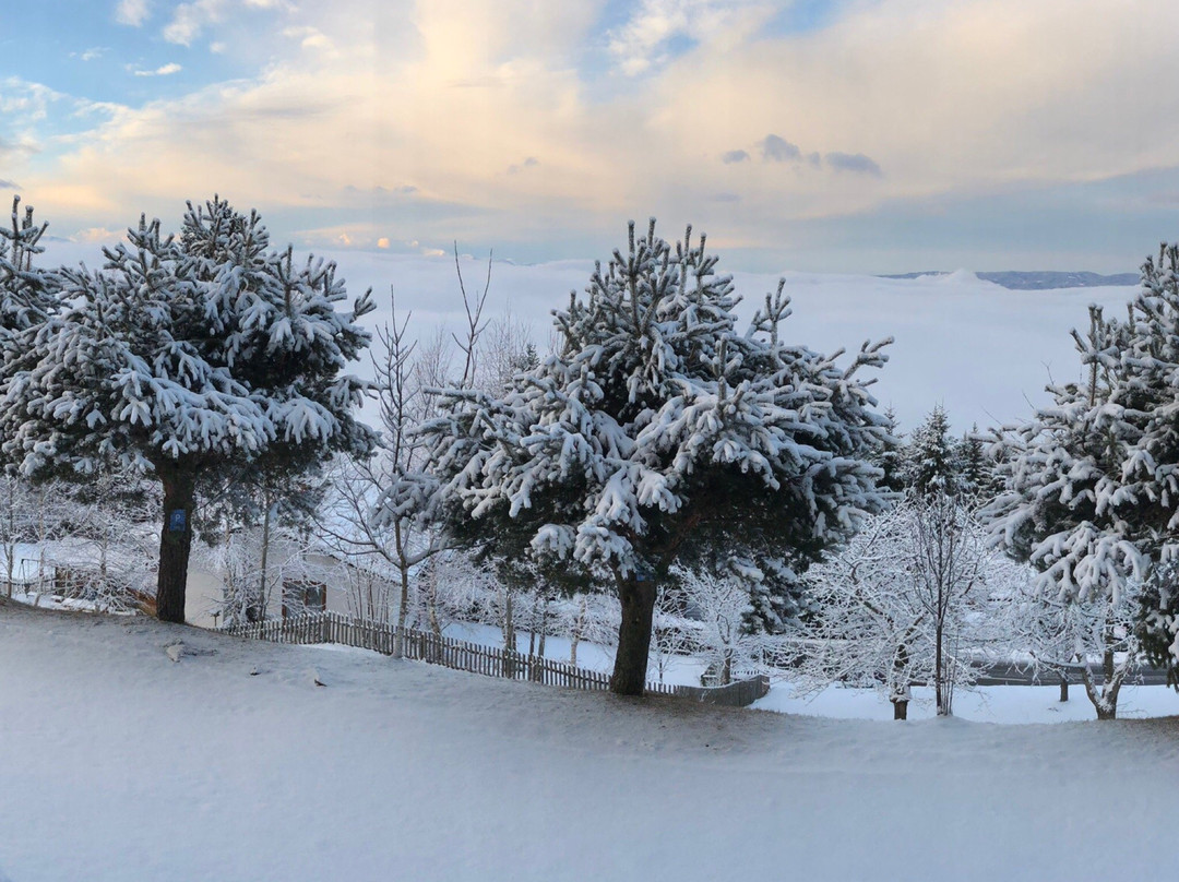 Alpenhotel Ozon Wolfgruber主图