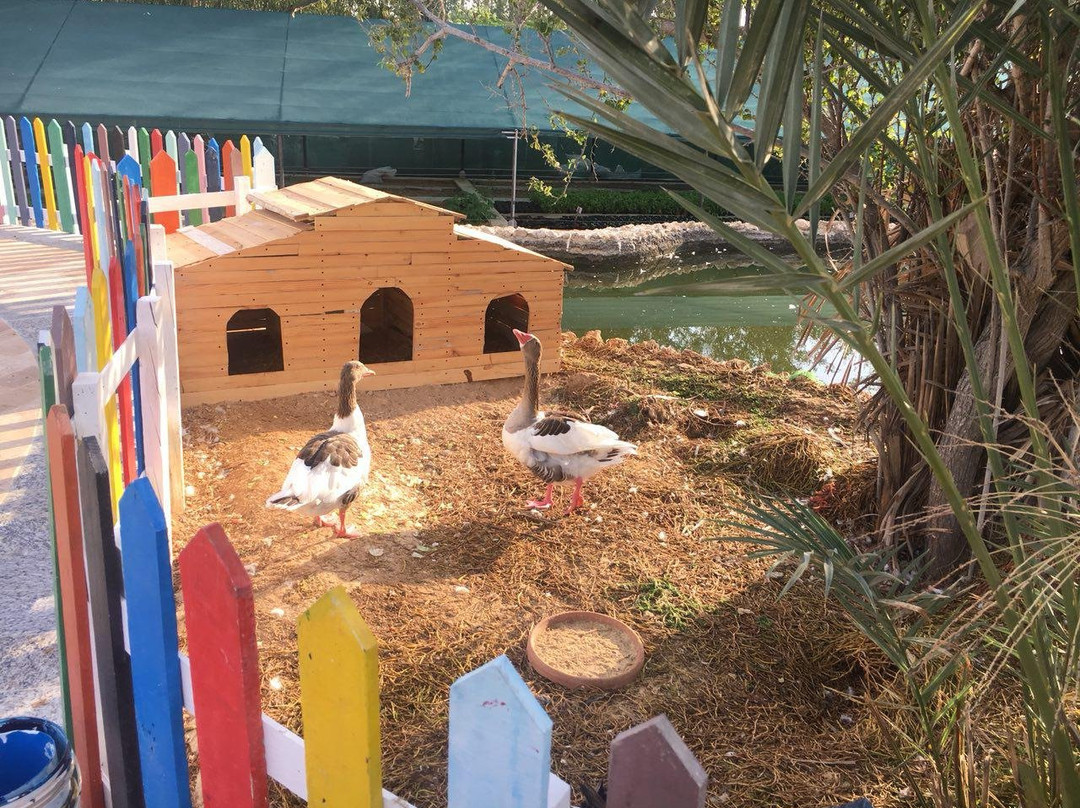 Flamingo Hotel主图