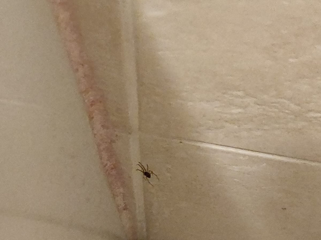 La Campagnola Hotel主图