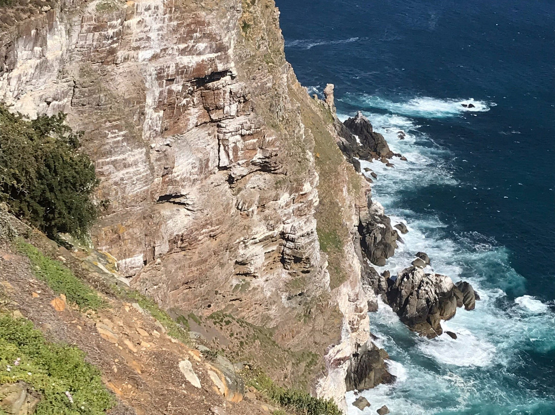 Cape of Good Hope景点图片