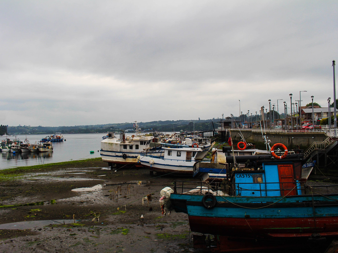 Dalcahue酒店住宿-Hotel Aliwen