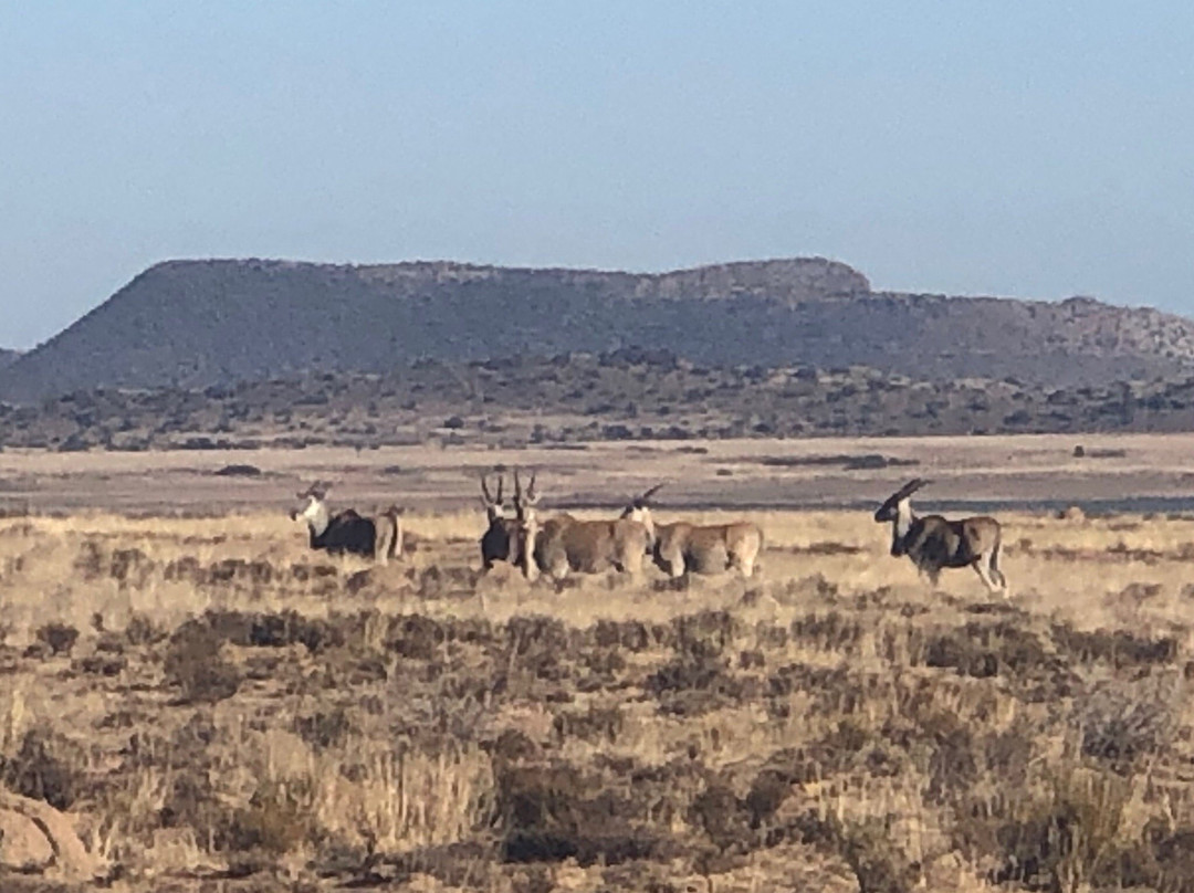 Driekwartblou Guest House主图