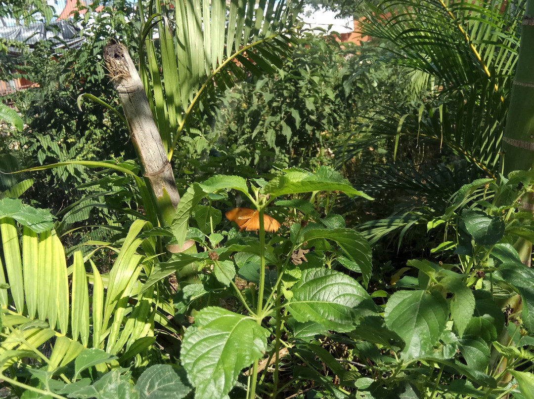 Parque Acuatico Baxal Ja-梅里达必去景点