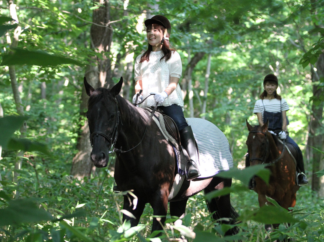 Niikappu Horoshiri Horse Riding Club景点图片