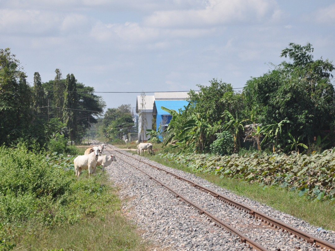 Lotus Farm Siem Reap-暹粒必去景点