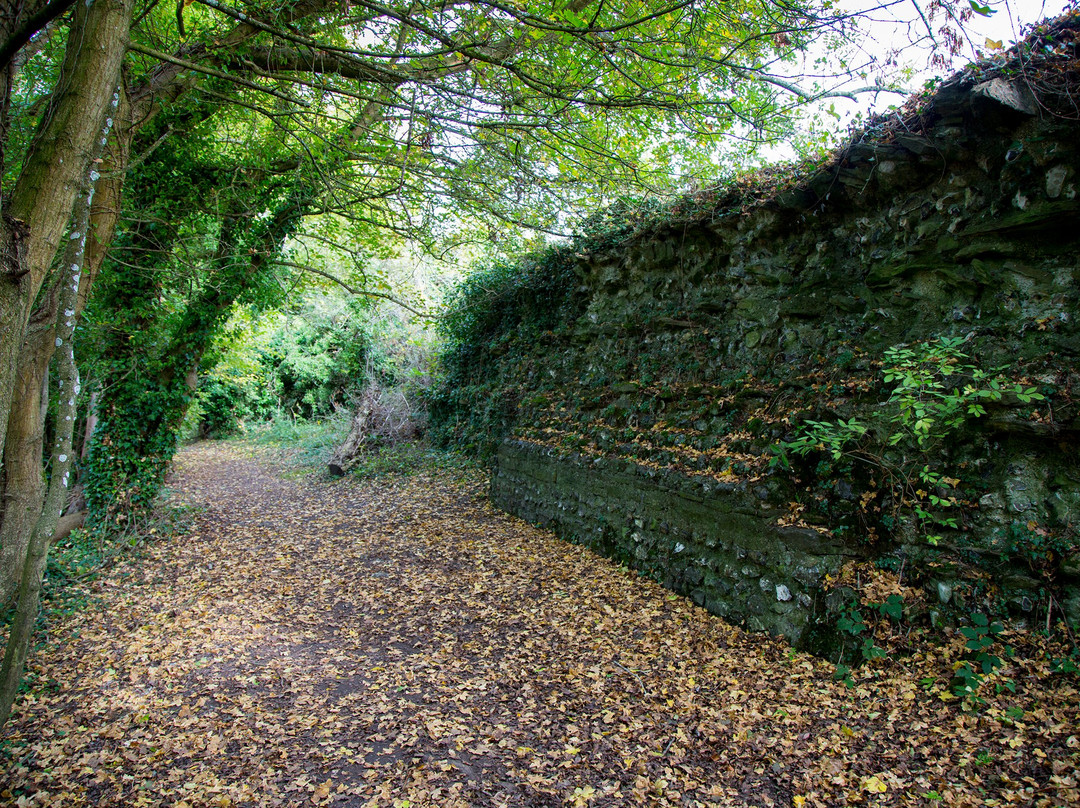 Silchester Roman City Walls and Amphitheatre景点图片