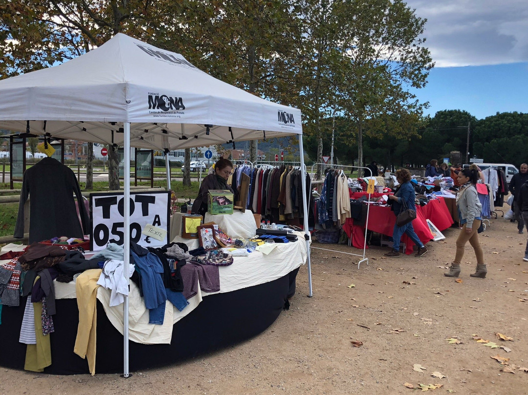 Mercat de Segona Ma, Brocante i Col-leccionisme de Celra景点图片