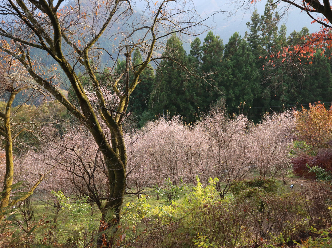 Jomine Park-神川町必去景点