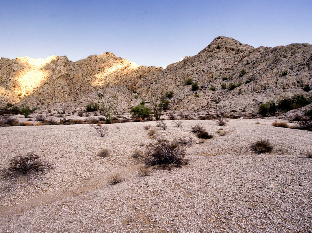 Cabeza Prieta National Wildlife Refuge-Ajo必去景点