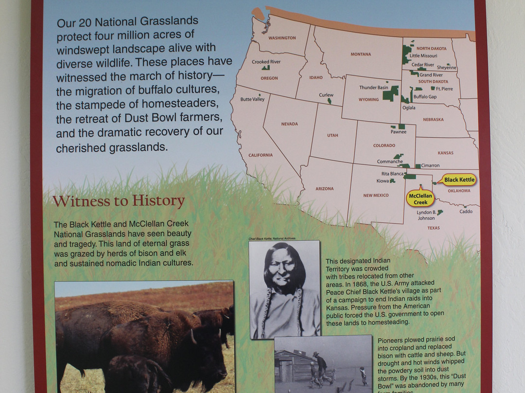 Black Kettle National Grassland景点图片
