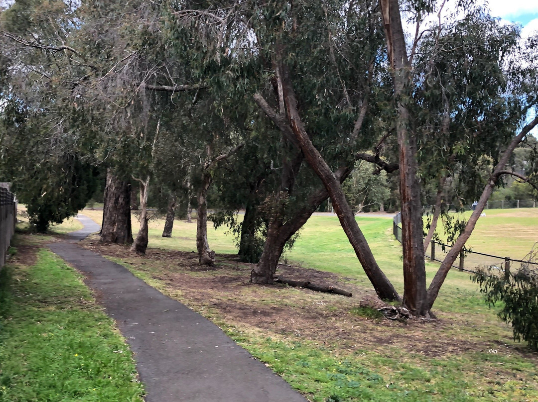 Boronia Grove Reserve景点图片