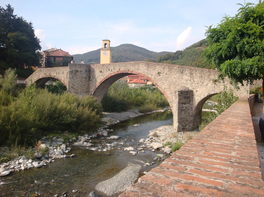 Ponte Medievale di San Michele (Ponte di Adalasia)-Campo Ligure必去景点