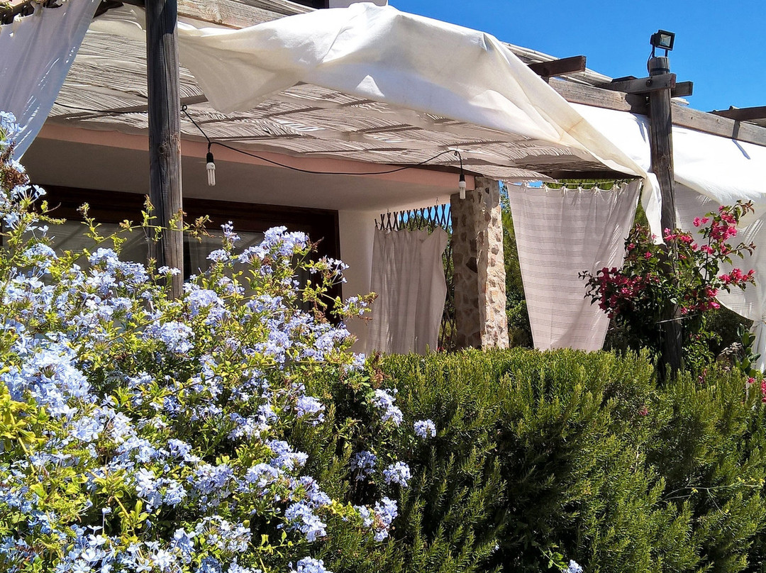 Arcamyrtus Holiday Country House主图