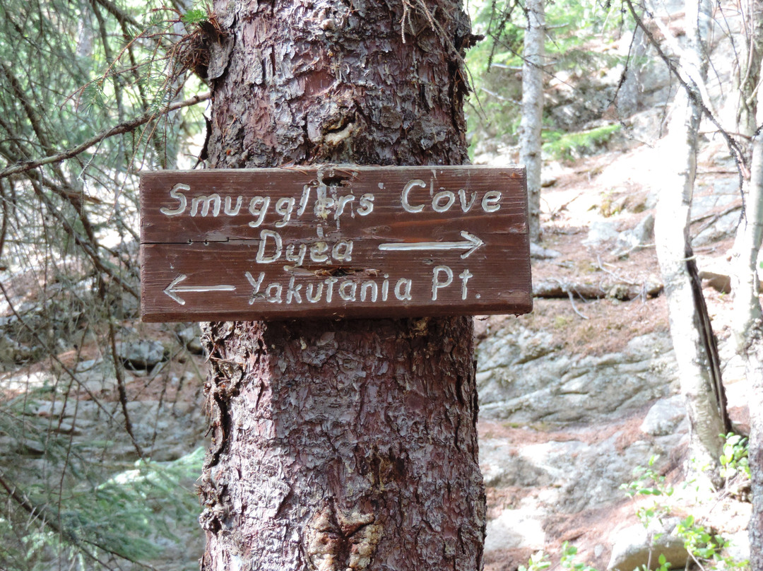 Yakutania Point-史凯威必去景点