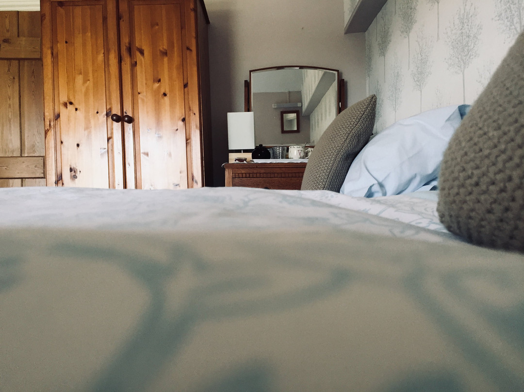 Rowantree Farm B&B主图