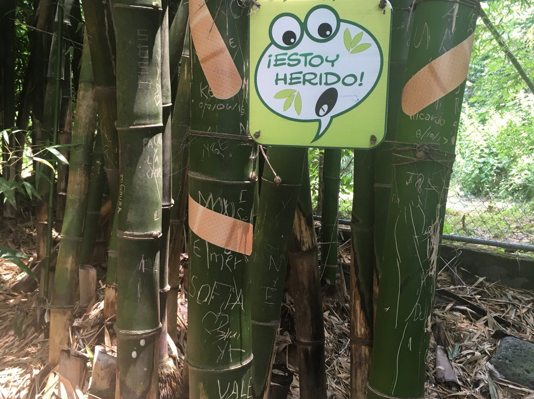 Hacienda Nogueras-Comala必去景点