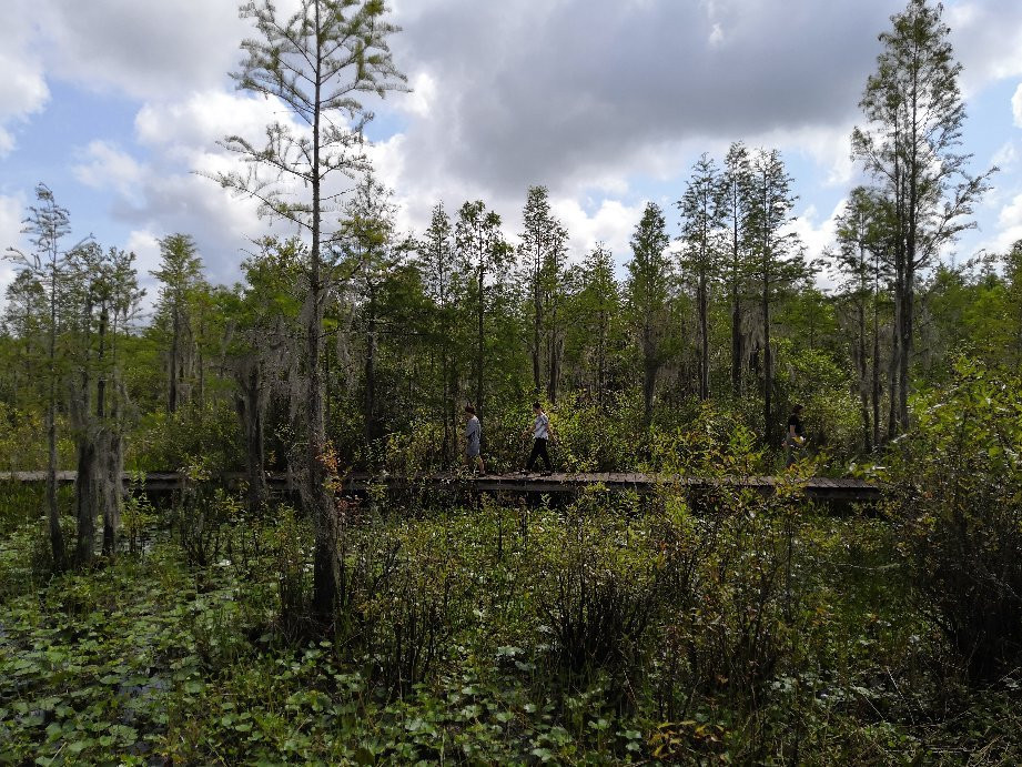 Grand Bay Wildlife Management Area-瓦尔多斯塔必去景点