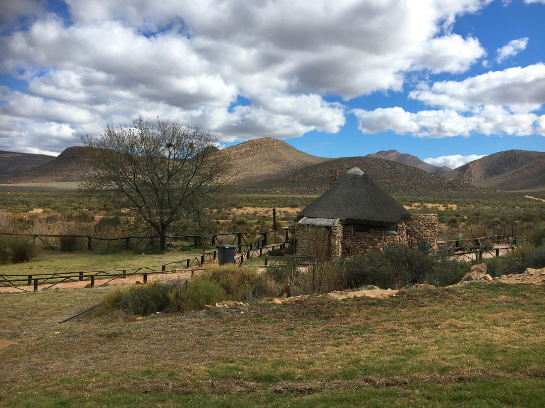 Aquila Private Game Reserve主图