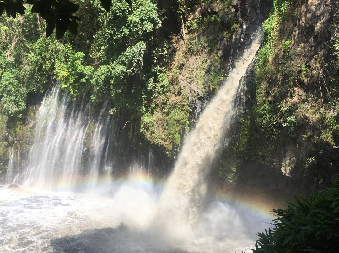 Cascada de la Tzararacua景点图片