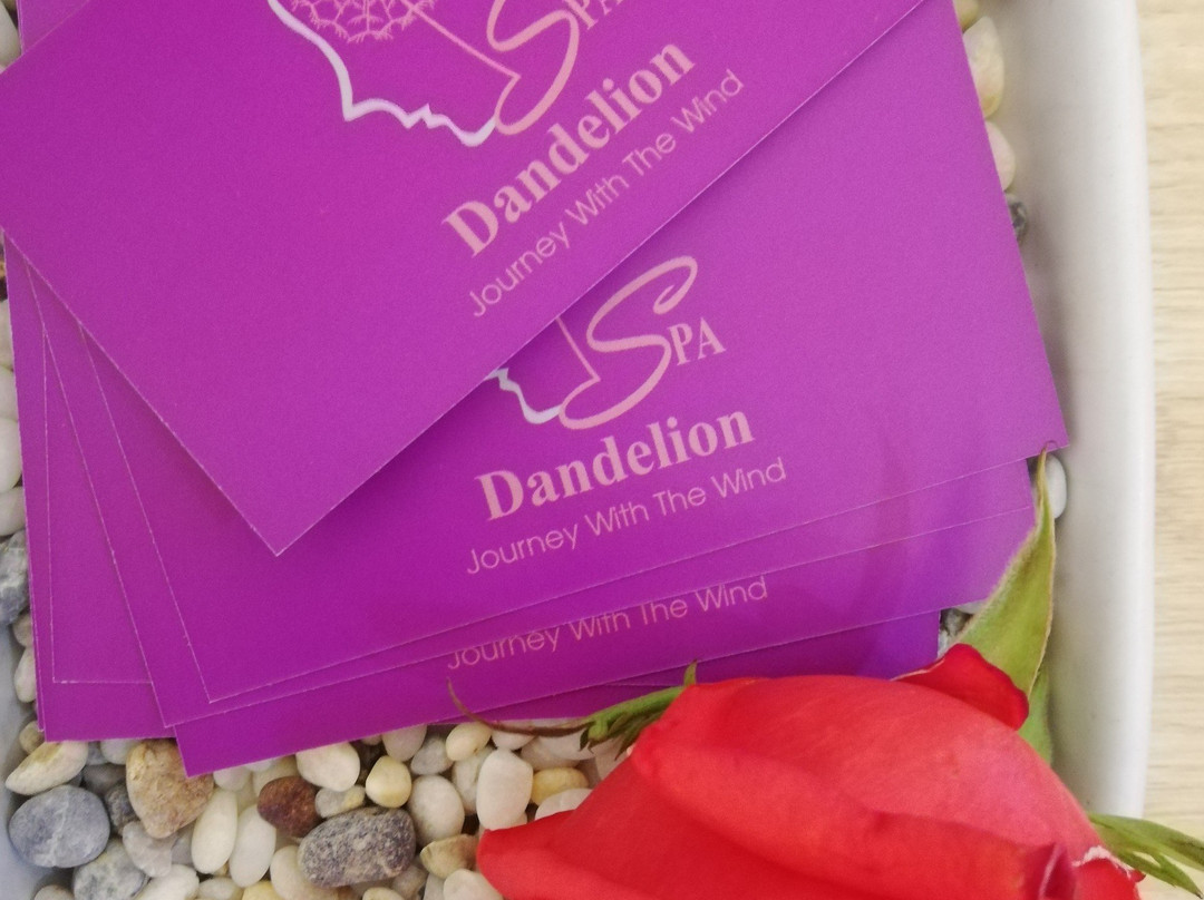Dandelion Spa景点图片