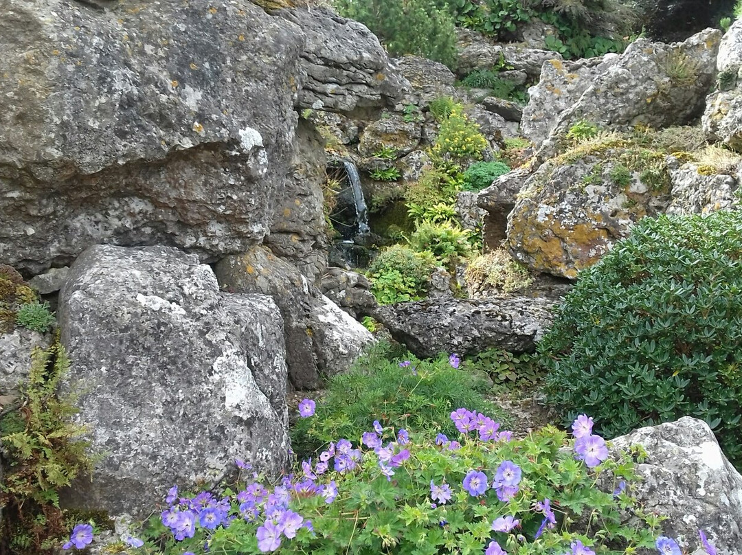 Aysgarth Edwardian Rock Garden景点图片