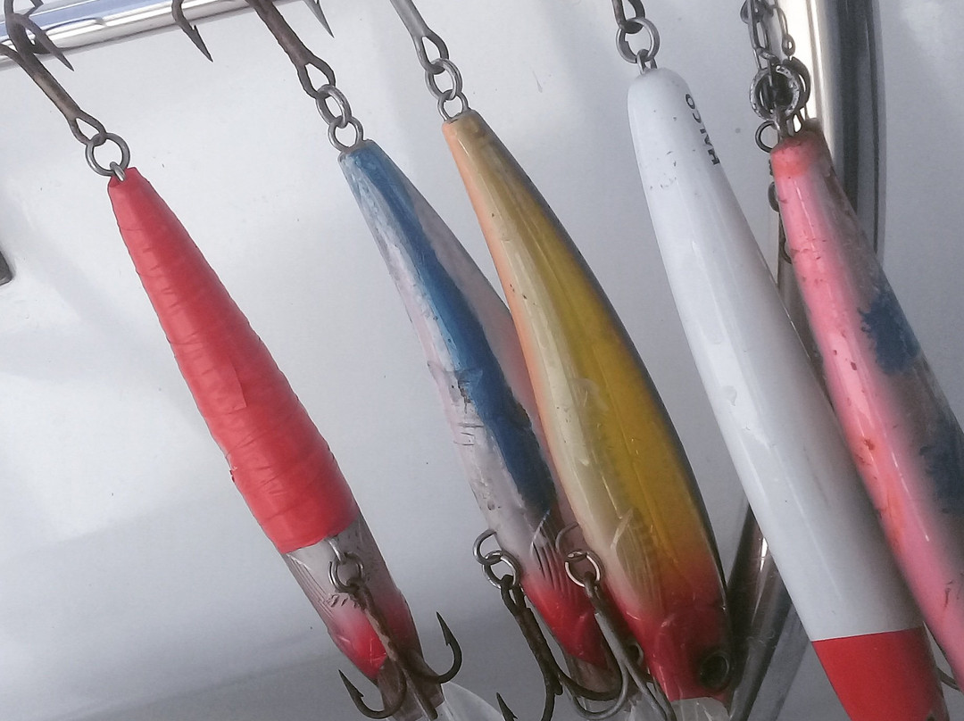 Take A Break Cuises-马洛洛莱莱岛必去景点