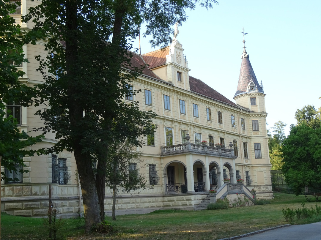 Bildungshaus Schloss Puchberg景点图片