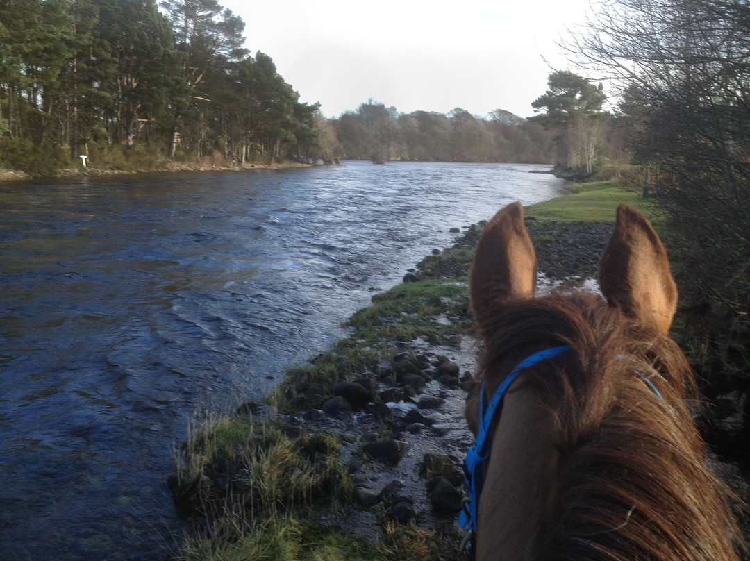 Loch Ness Riding景点图片