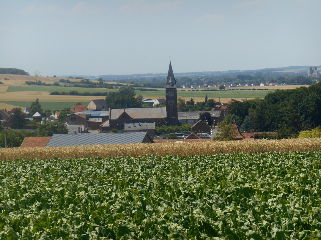 Cobbers Battlefield Tours景点图片