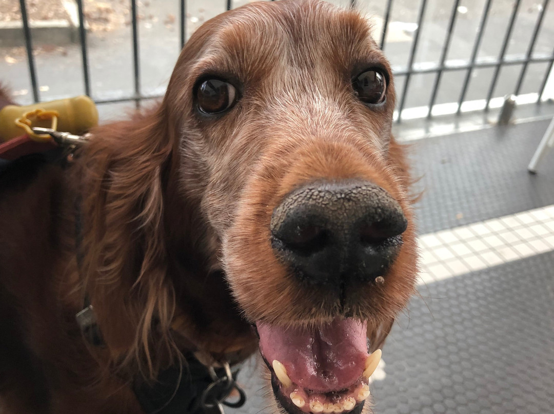 休伊登精品酒店主图