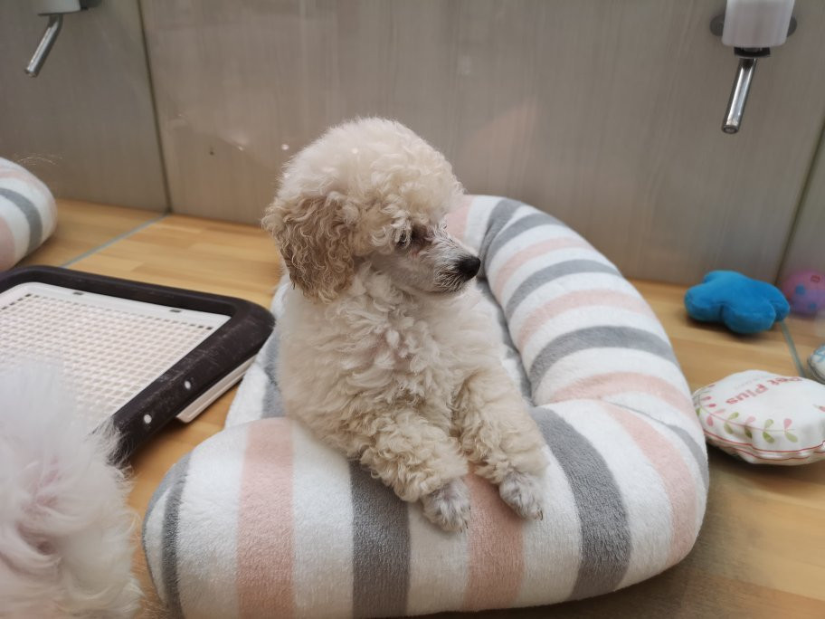 Aeon Mall, Nagoya Dome Mae-名古屋市必去景点