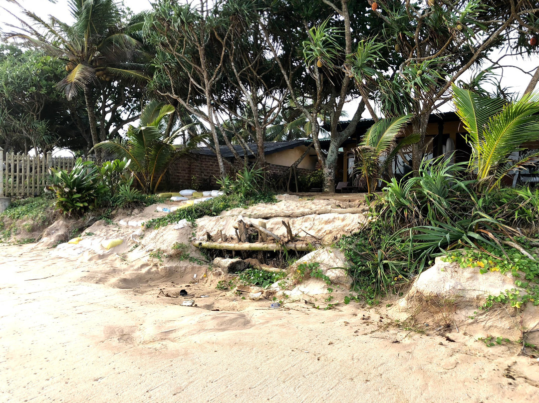 The Beach Cabanas Retreat & Spa主图