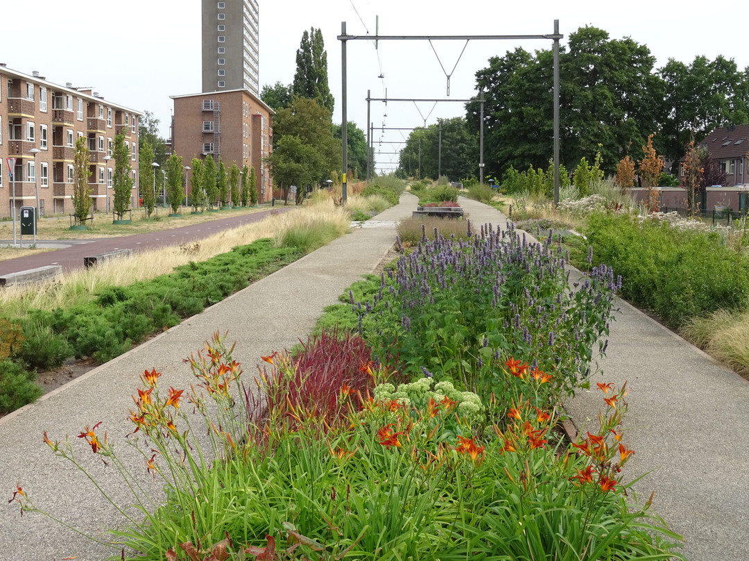 Park Oosterspoorbaan-乌特勒支必去景点