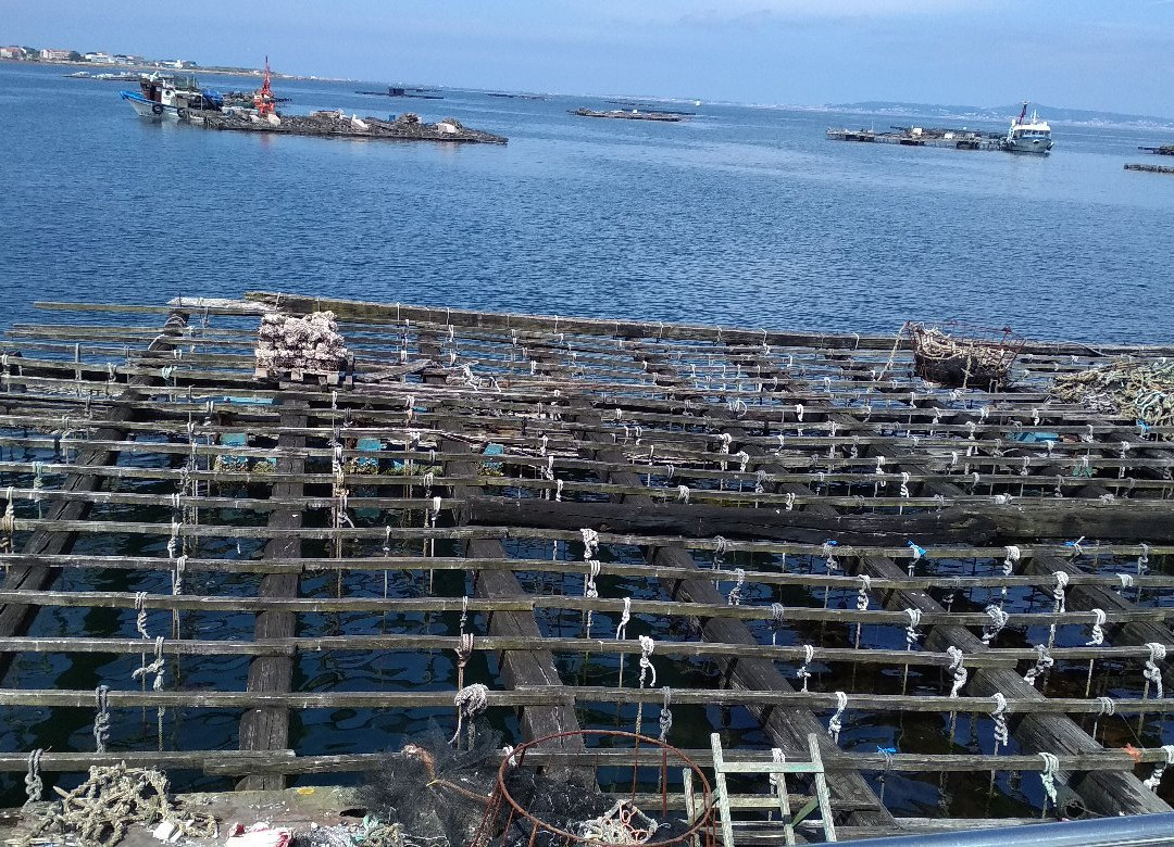 Cruceros Angel-格罗韦必去景点