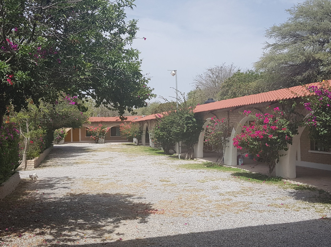 Hotel Quinta San Jorge主图