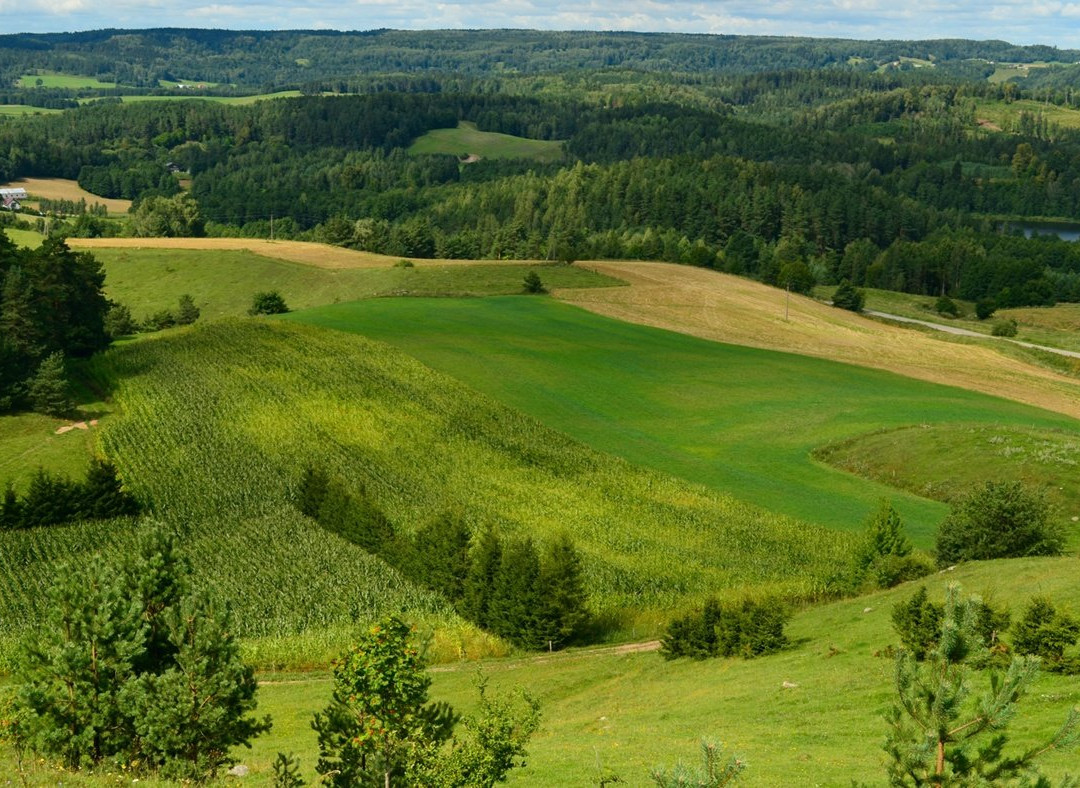 Cisowa Mountain-Gulbieniszki必去景点