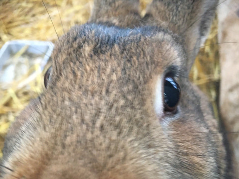 Heidi Farm-长沼町必去景点
