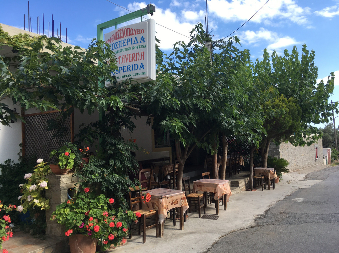 Anatoli餐馆和美食-Aposperida