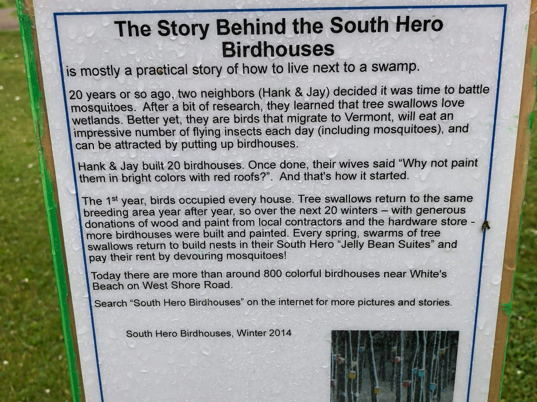 White's Beach-South Hero必去景点