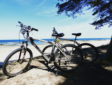 Velos Prom'nade-Ile d'Yeu必去景点